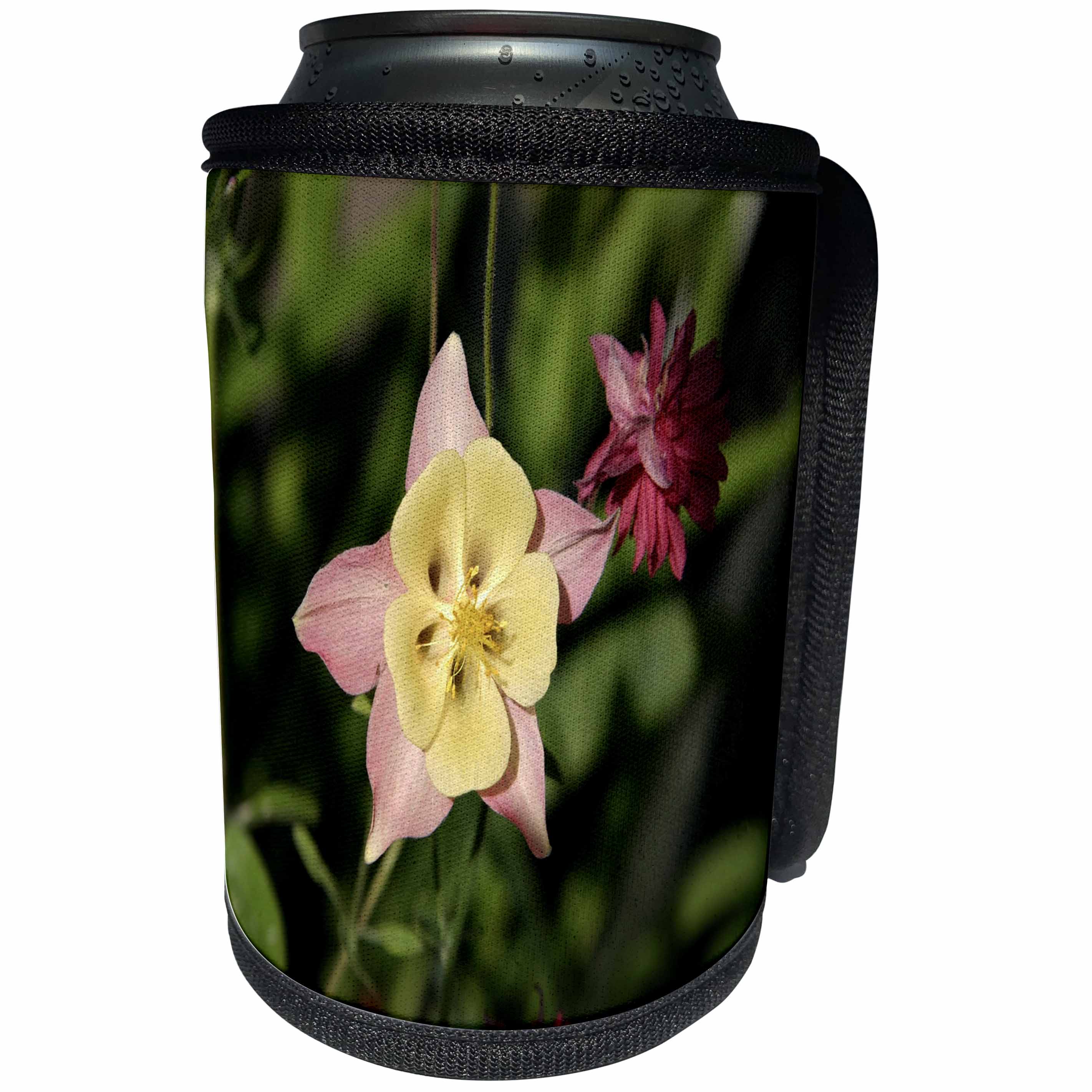 3dRose TDSwhite – Summer Seasonal Nature Photos - Floral Columbine Star Shaped Leaves - Can Cooler Bottle Wrap (cc_284603)