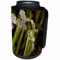 3dRose TDSwhite – Summer Seasonal Nature Photos - Floral Trumpet Pitcher Plant - Can Cooler Bottle Wrap (cc_284613)
