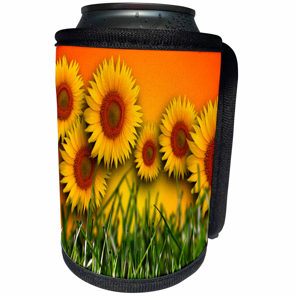 3dRose TDSwhite – Summer Seasonal Nature Photos - Floral Sunflower Field - Can Cooler Bottle Wrap (cc_284616)