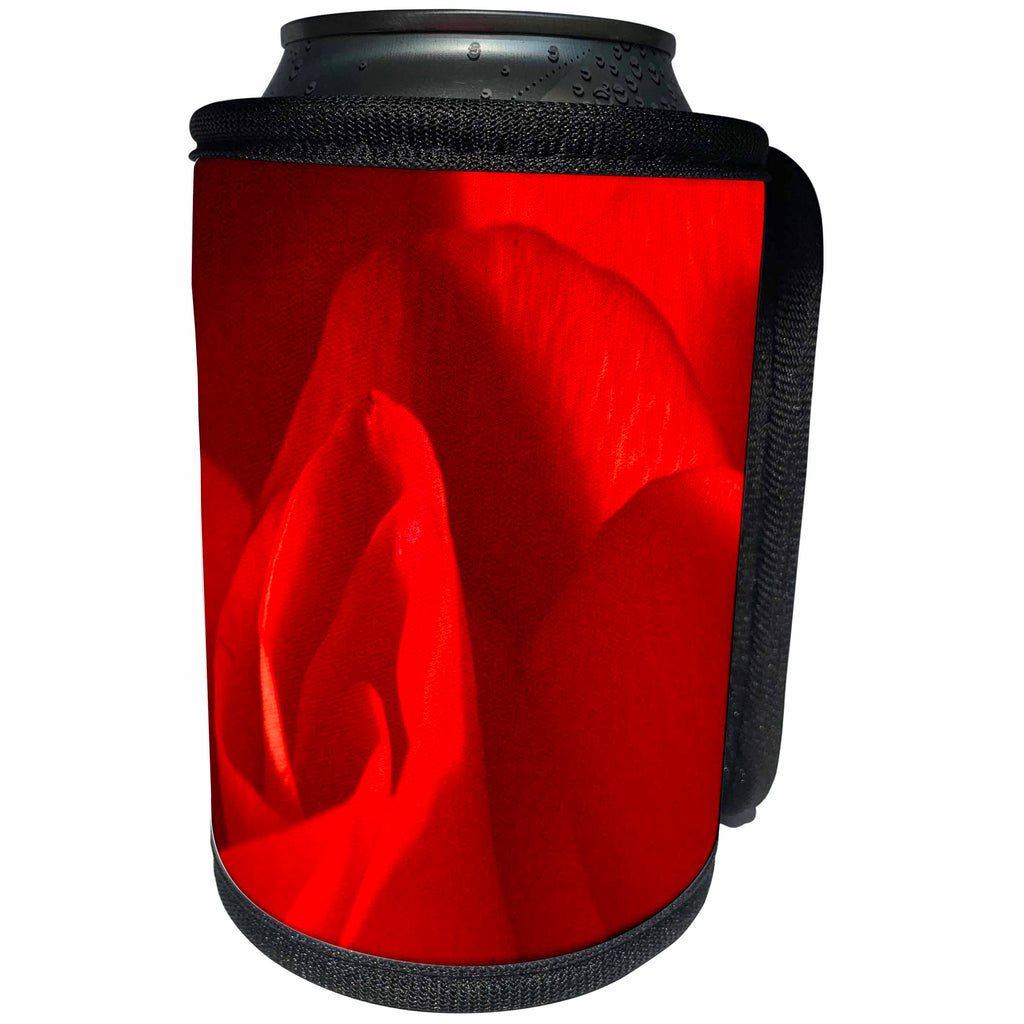 3dRose TDSwhite – Summer Seasonal Nature Photos - Pretty Red Rose - Can Cooler Bottle Wrap (cc_284621)
