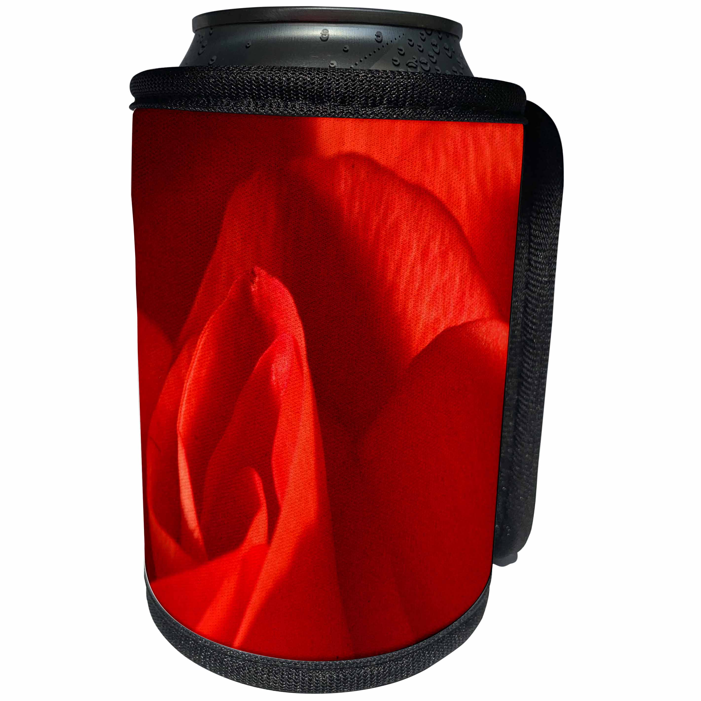 3dRose TDSwhite – Summer Seasonal Nature Photos - Pretty Red Rose - Can Cooler Bottle Wrap (cc_284621)