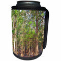 3dRose TDSwhite – Summer Seasonal Nature Photos - Sunlight Old Pine Trees - Can Cooler Bottle Wrap (cc_284631)