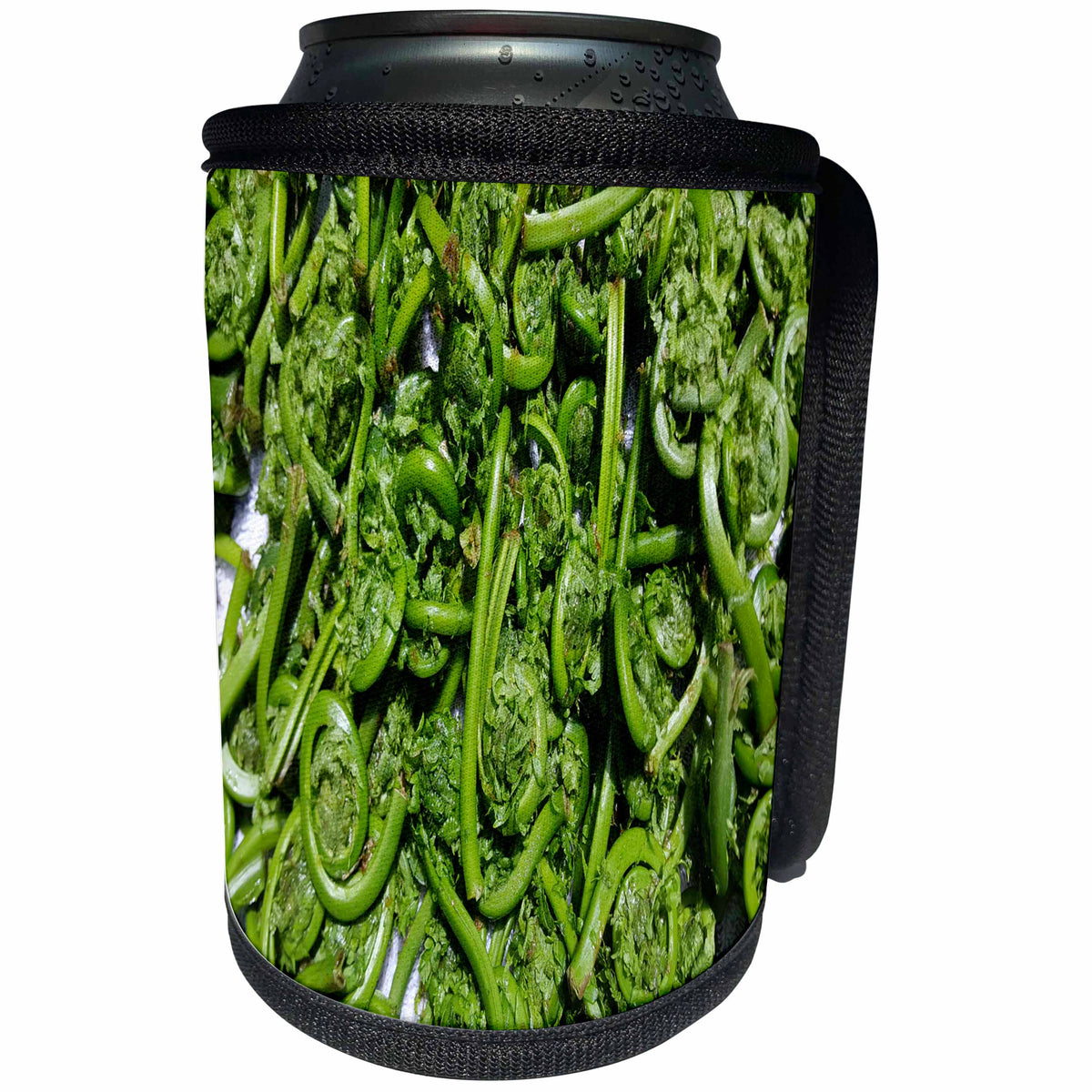 3dRose TDSwhite – Summer Seasonal Nature Photos - Garden Fresh Picked Fiddleheads - Can Cooler Bottle Wrap (cc_284639)