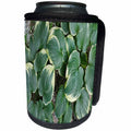 3dRose TDSwhite – Summer Seasonal Nature Photos - Backyard Hosta - Can Cooler Bottle Wrap (cc_284646)