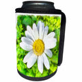 3dRose Taiche - Watercolor Painting - Daisy - Radiant White Daisy - Can Cooler Bottle Wrap (cc_284677)