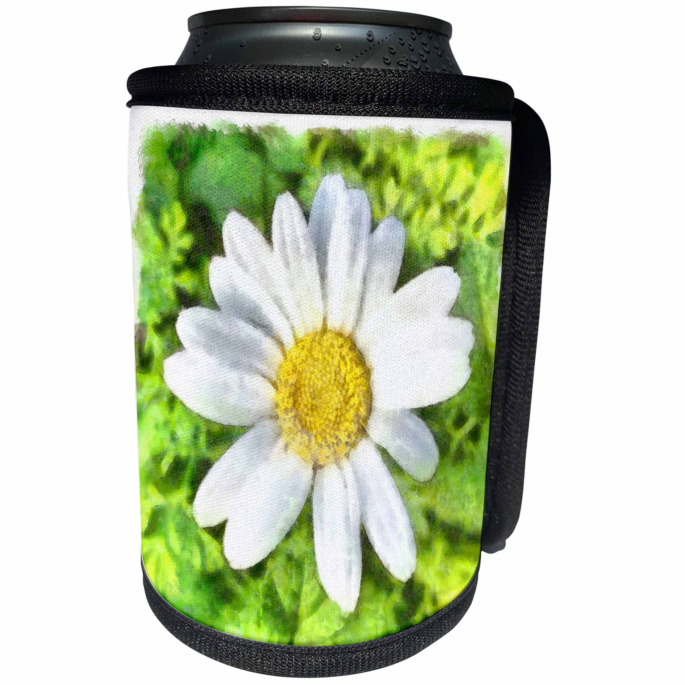 3dRose Taiche - Watercolor Painting - Daisy - Radiant White Daisy - Can Cooler Bottle Wrap (cc_284677)