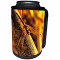 3dRose Taiche - Acrylic Painting - Dragonfly - Elegant Red Darter Dragonfly - Can Cooler Bottle Wrap (cc_284681)