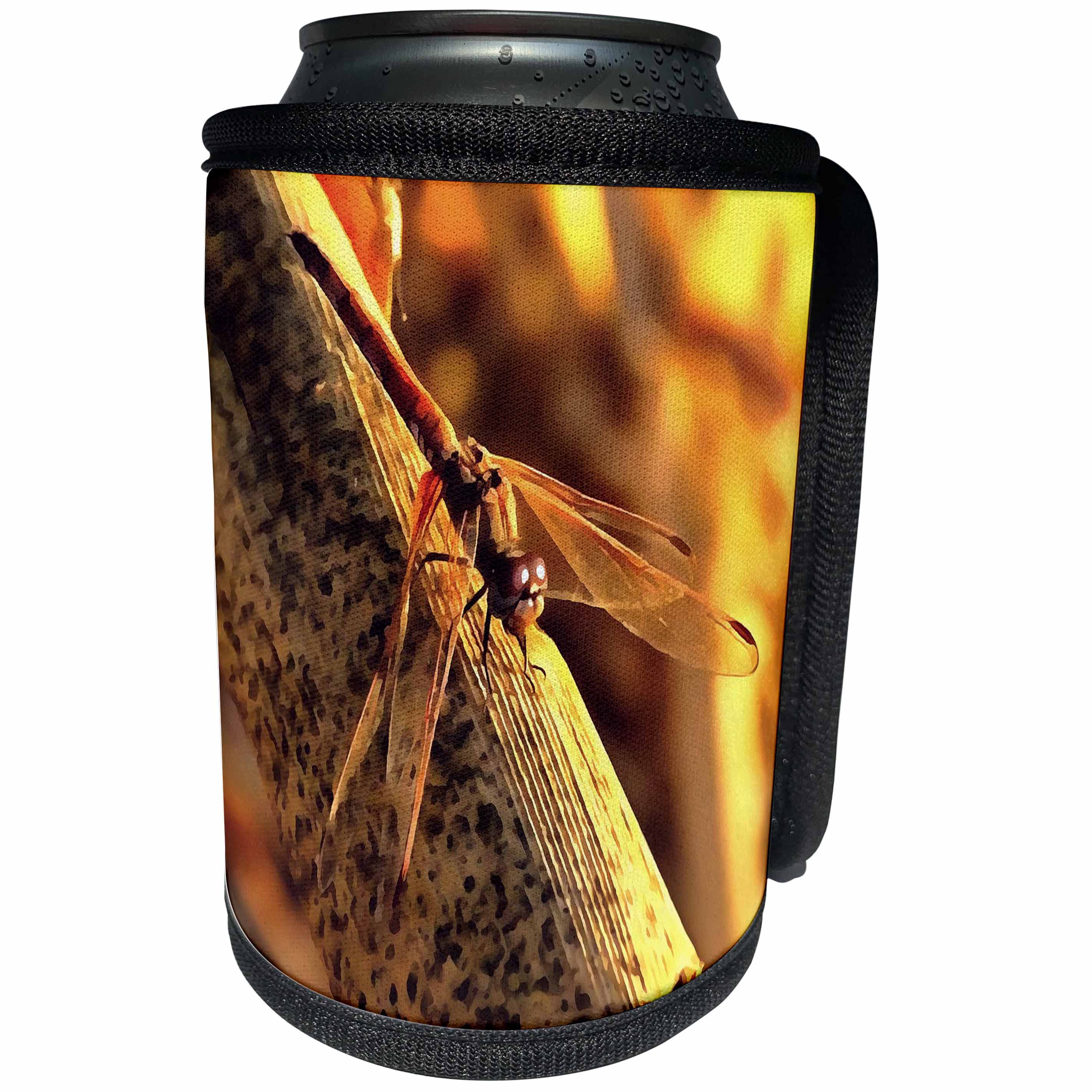 3dRose Taiche - Acrylic Painting - Dragonfly - Elegant Red Darter Dragonfly - Can Cooler Bottle Wrap (cc_284681)