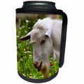 3dRose Taiche - Acrylic Painting - Billy Goat - Goat A Load To Talk About - Can Cooler Bottle Wrap (cc_284720)