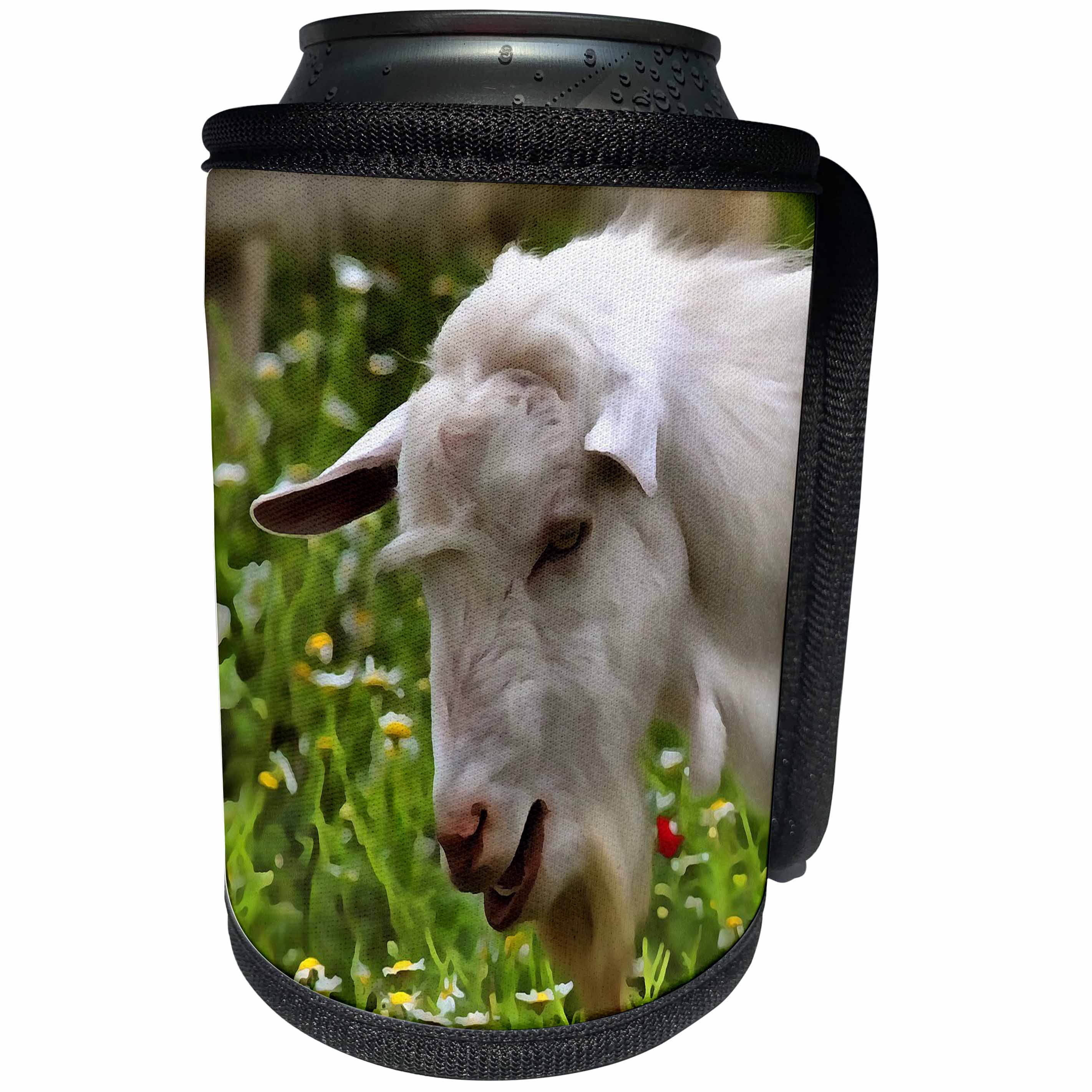 3dRose Taiche - Acrylic Painting - Billy Goat - Goat A Load To Talk About - Can Cooler Bottle Wrap (cc_284720)
