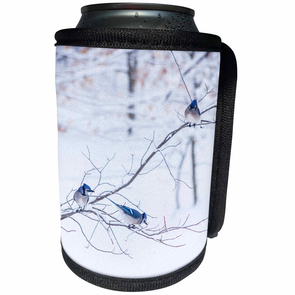 3dRose TDSwhite – Winter Seasonal Nature Photos - Three Blue Jays Snowy Winter Branch - Can Cooler Bottle Wrap (cc_284930)