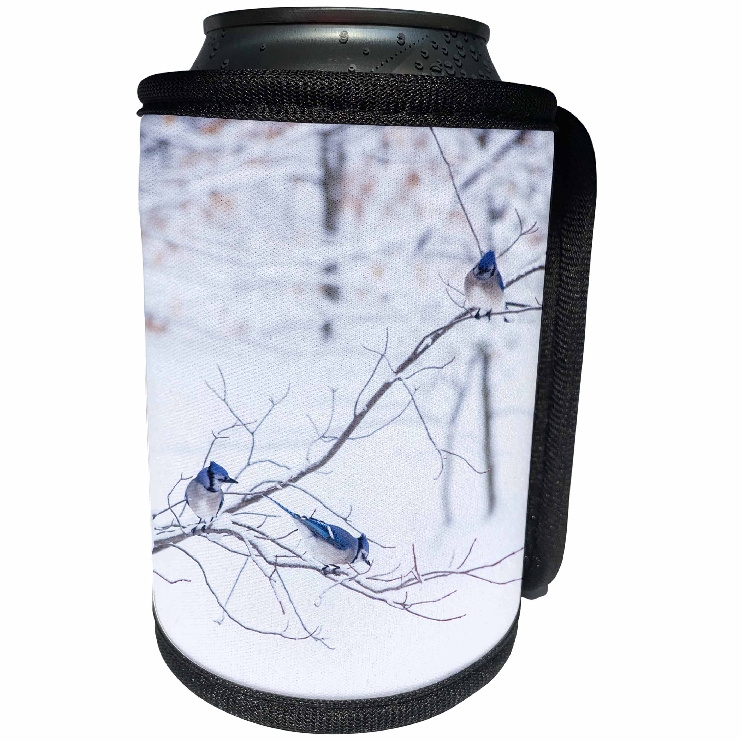 3dRose TDSwhite – Winter Seasonal Nature Photos - Three Blue Jays Snowy Winter Branch - Can Cooler Bottle Wrap (cc_284930)