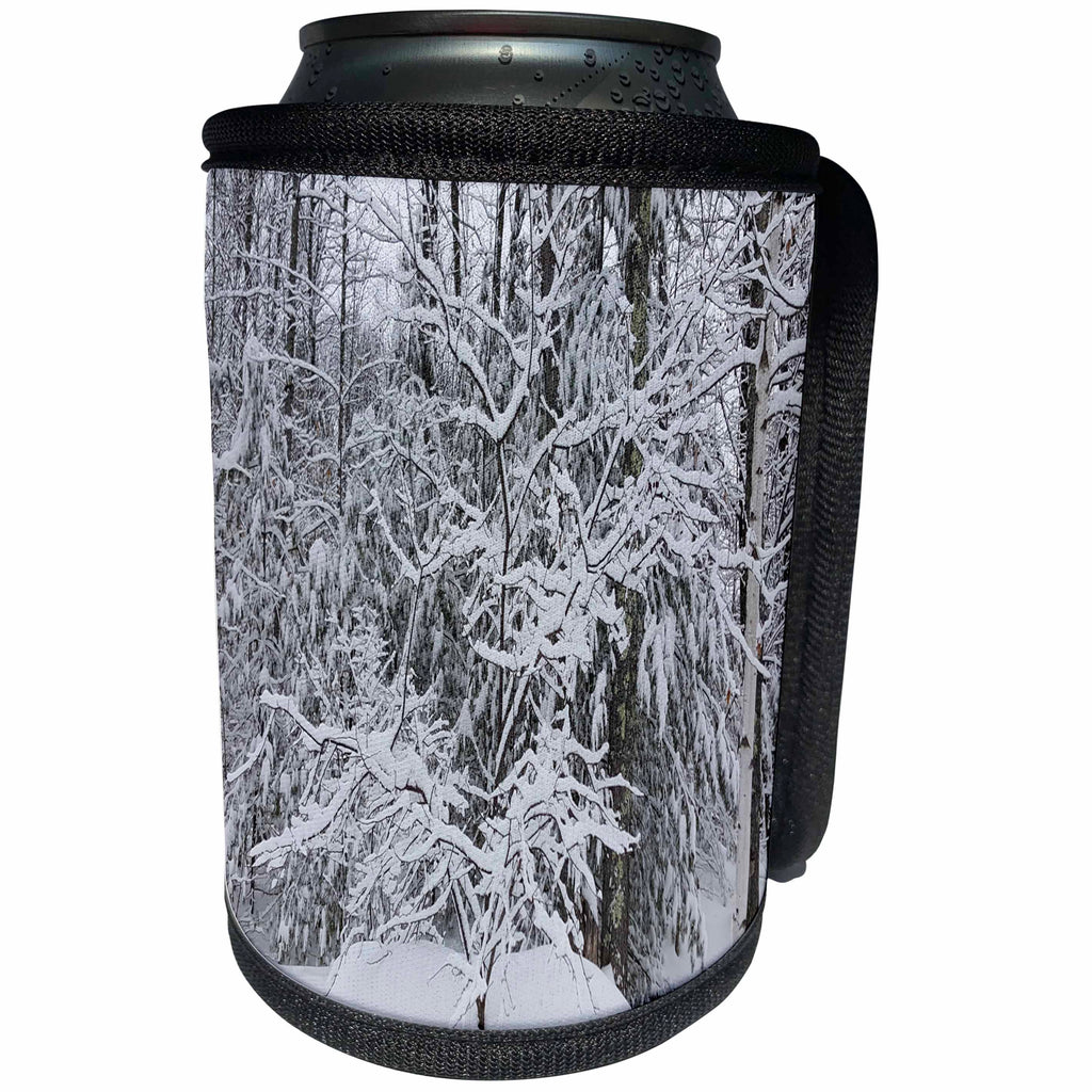 3dRose TDSwhite – Winter Seasonal Nature Photos - Winter Beautiful Forest - Can Cooler Bottle Wrap (cc_284947)