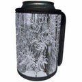 3dRose TDSwhite – Winter Seasonal Nature Photos - Winter Beautiful Forest - Can Cooler Bottle Wrap (cc_284947)
