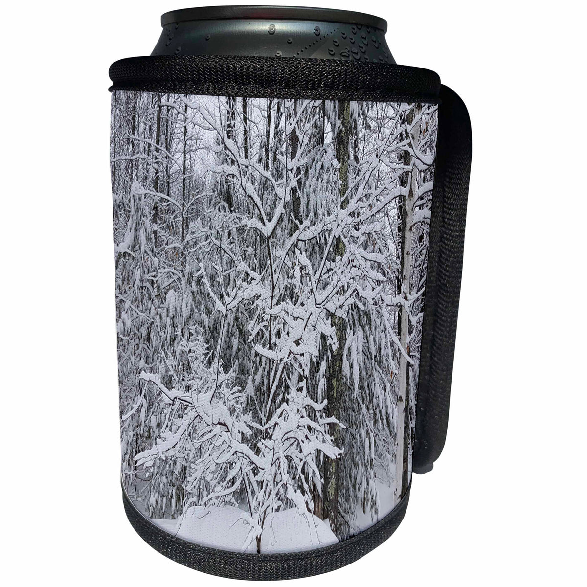 3dRose TDSwhite – Winter Seasonal Nature Photos - Winter Beautiful Forest - Can Cooler Bottle Wrap (cc_284947)