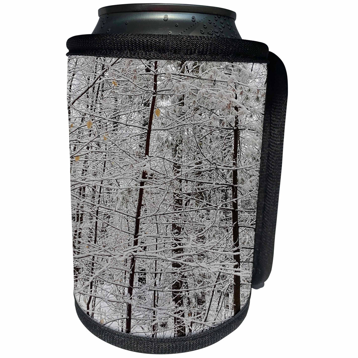 3dRose TDSwhite – Winter Seasonal Nature Photos - Winter Picture Lovely - Can Cooler Bottle Wrap (cc_284984)