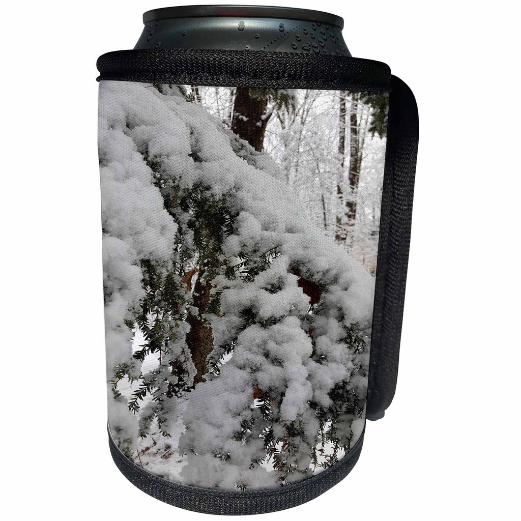 3dRose TDSwhite – Winter Seasonal Nature Photos - Winter Picture Snow - Can Cooler Bottle Wrap (cc_284989)