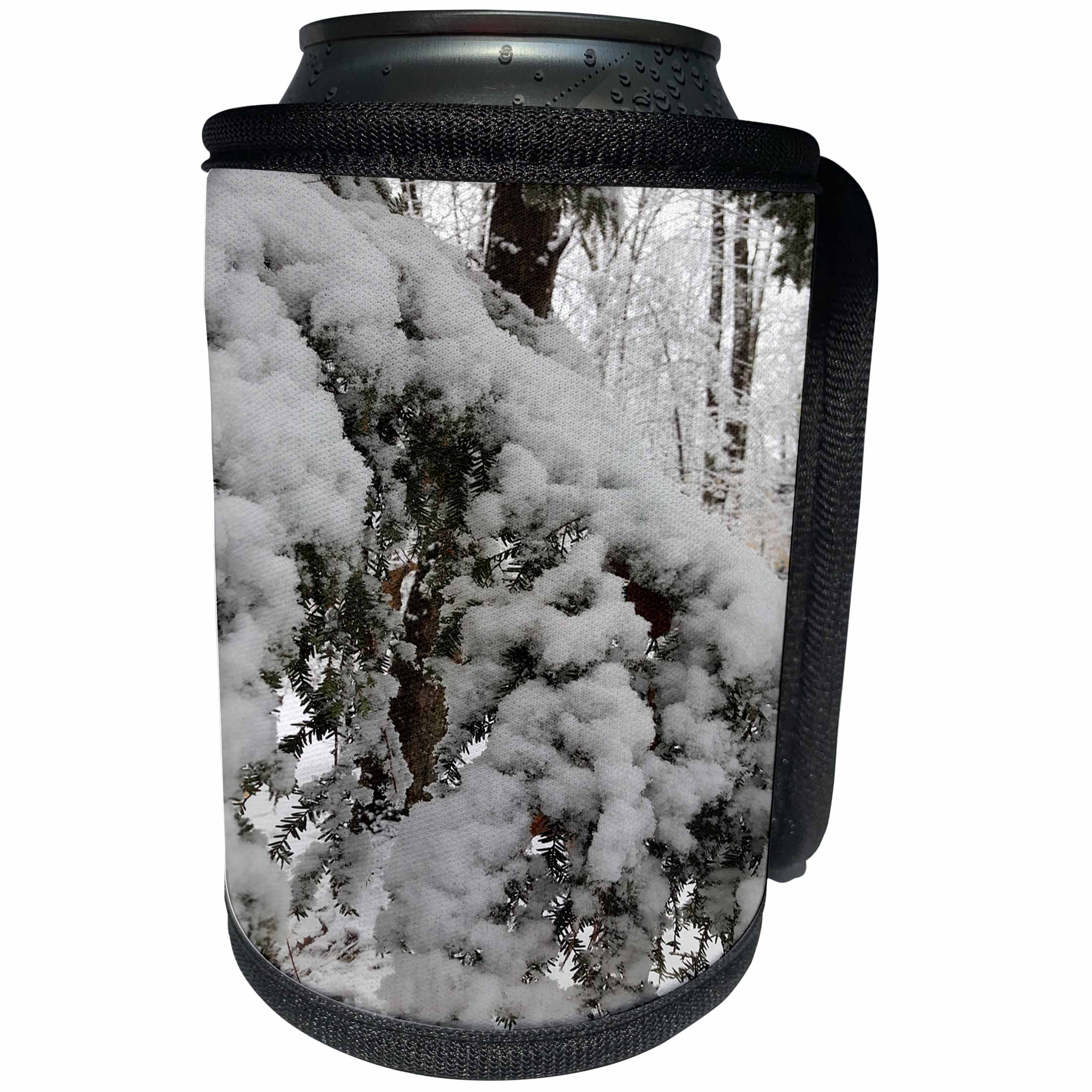 3dRose TDSwhite – Winter Seasonal Nature Photos - Winter Picture Snow - Can Cooler Bottle Wrap (cc_284989)