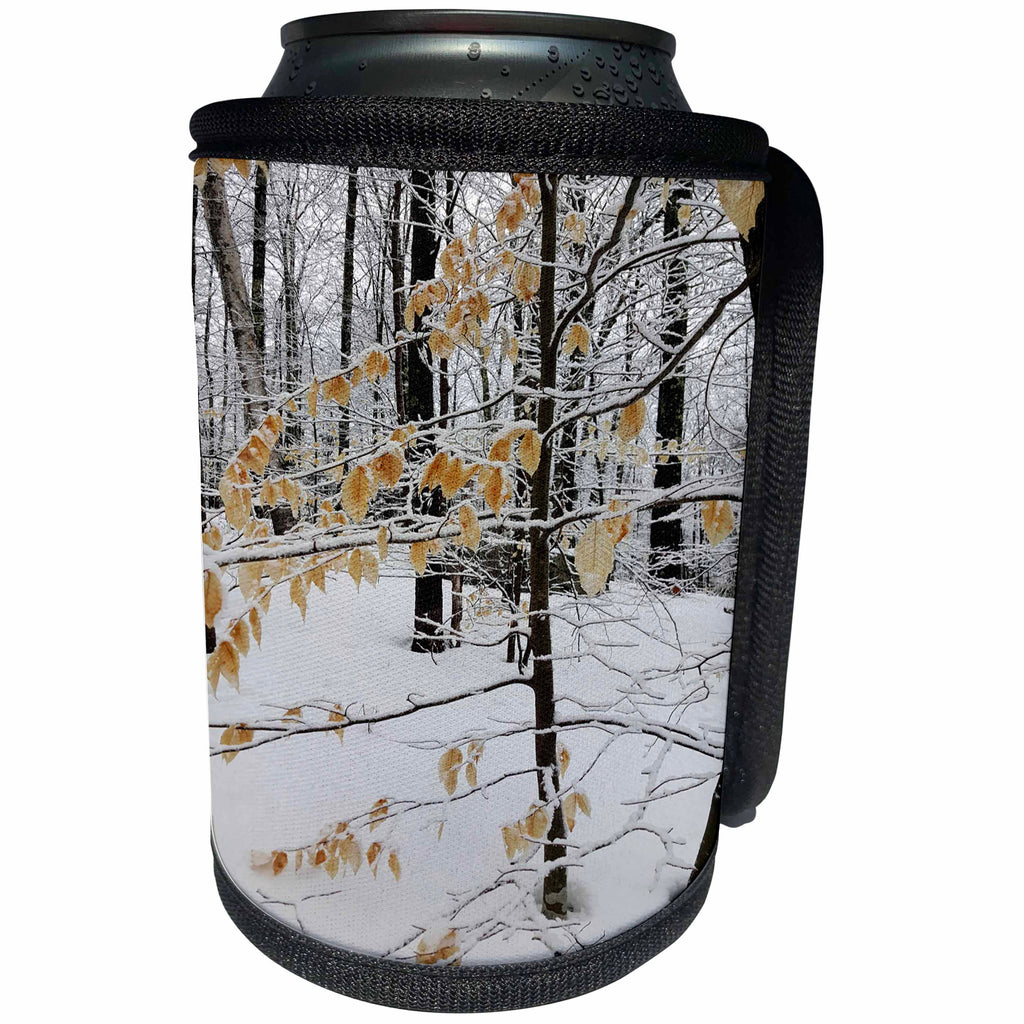 3dRose TDSwhite – Winter Seasonal Nature Photos - Winter Photography Pretty Scene - Can Cooler Bottle Wrap (cc_285015)