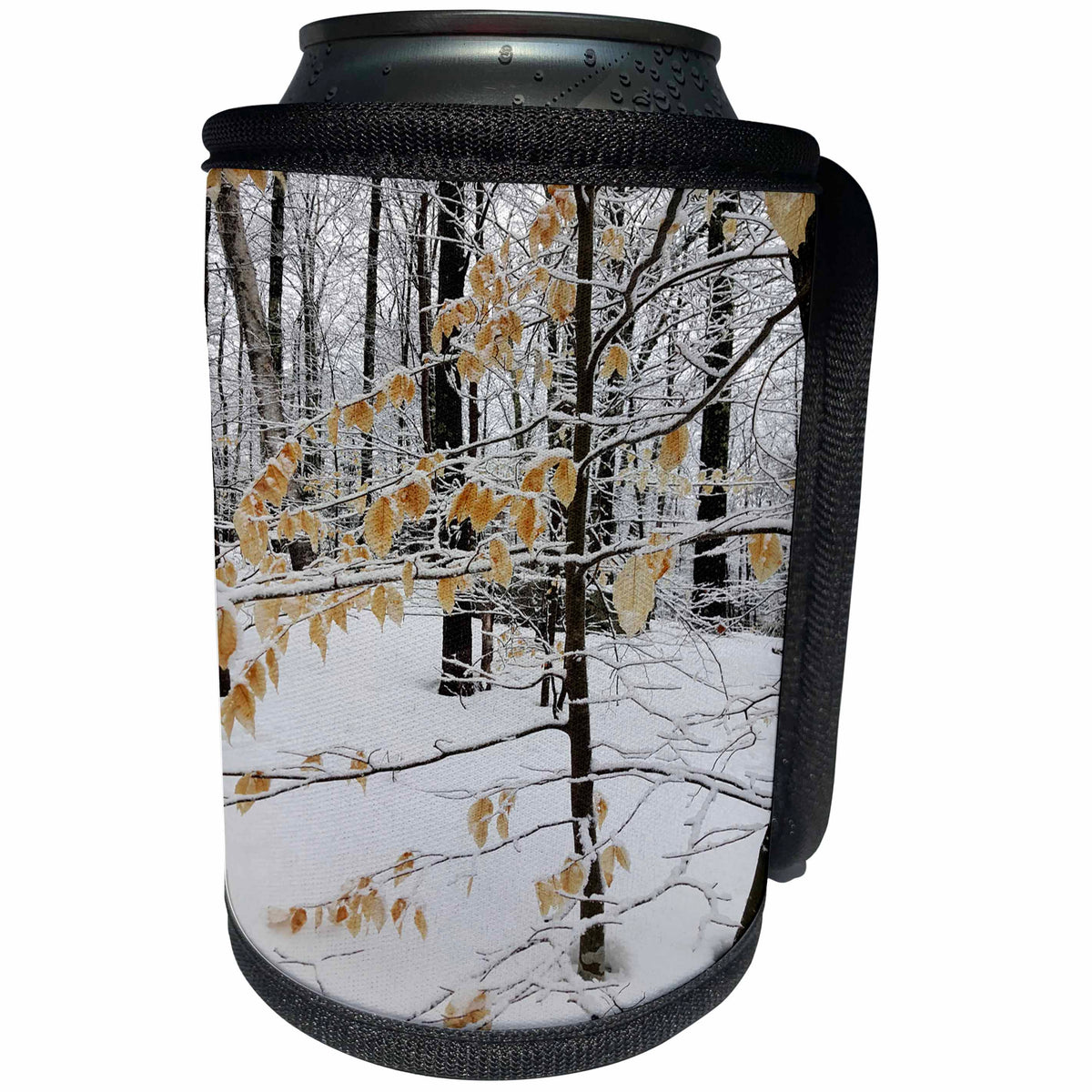 3dRose TDSwhite – Winter Seasonal Nature Photos - Winter Photography Pretty Scene - Can Cooler Bottle Wrap (cc_285015)