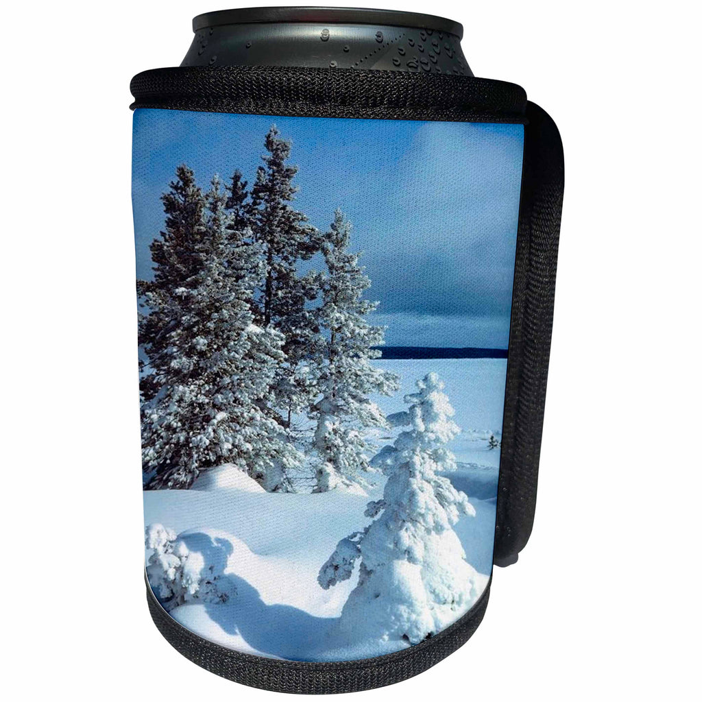 3dRose TDSwhite – Winter Seasonal Nature Photos - Winter Theme Beautiful Scene - Can Cooler Bottle Wrap (cc_285017)