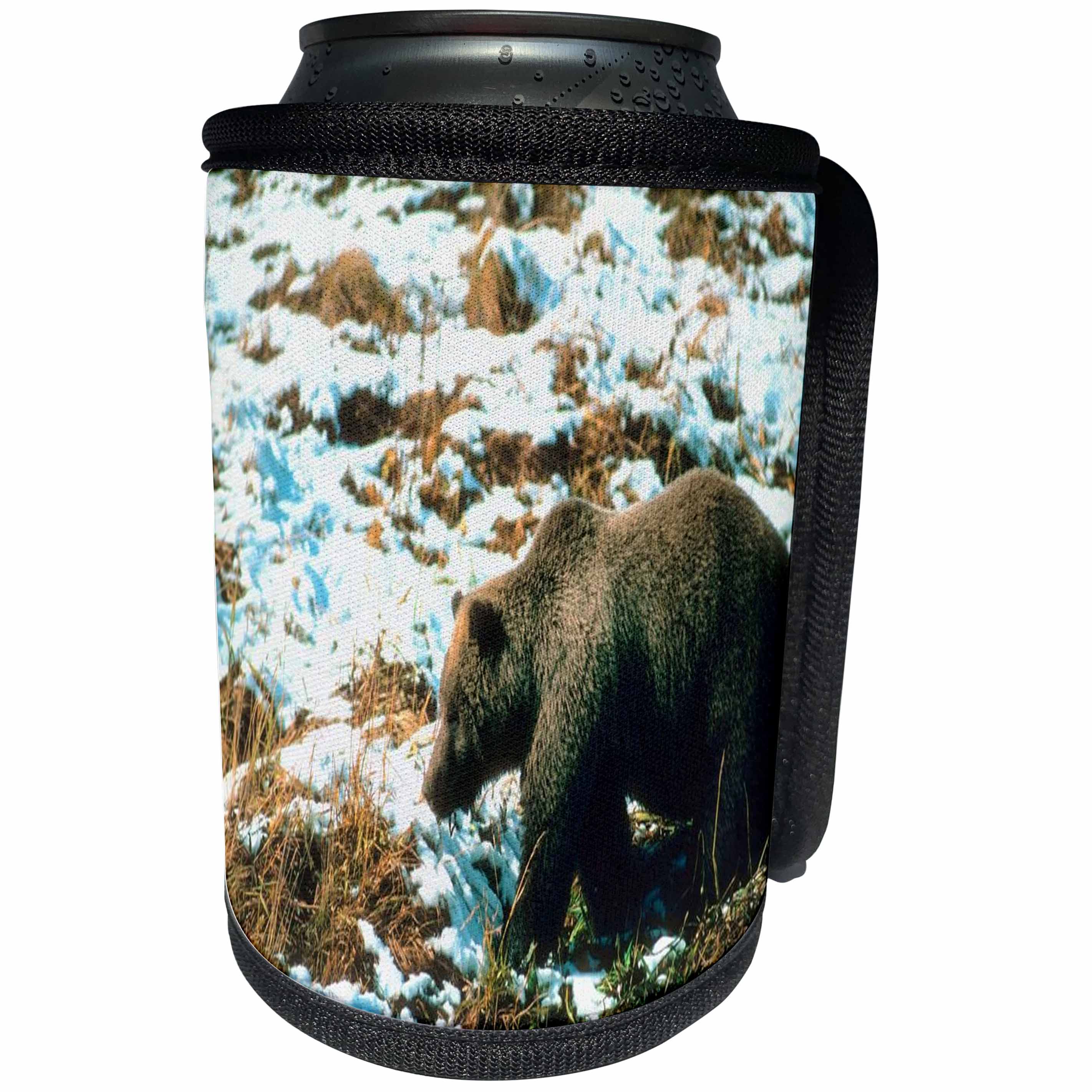 3dRose TDSwhite – Winter Seasonal Nature Photos - Winter Theme Grizzly Bear - Can Cooler Bottle Wrap (cc_285022)
