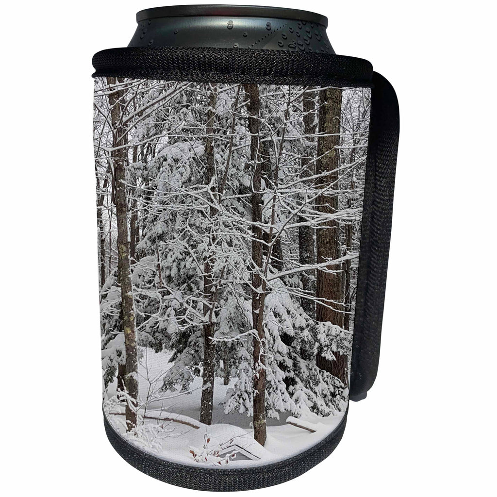 3dRose TDSwhite – Winter Seasonal Nature Photos - Winter Weather Scene - Can Cooler Bottle Wrap (cc_285047)