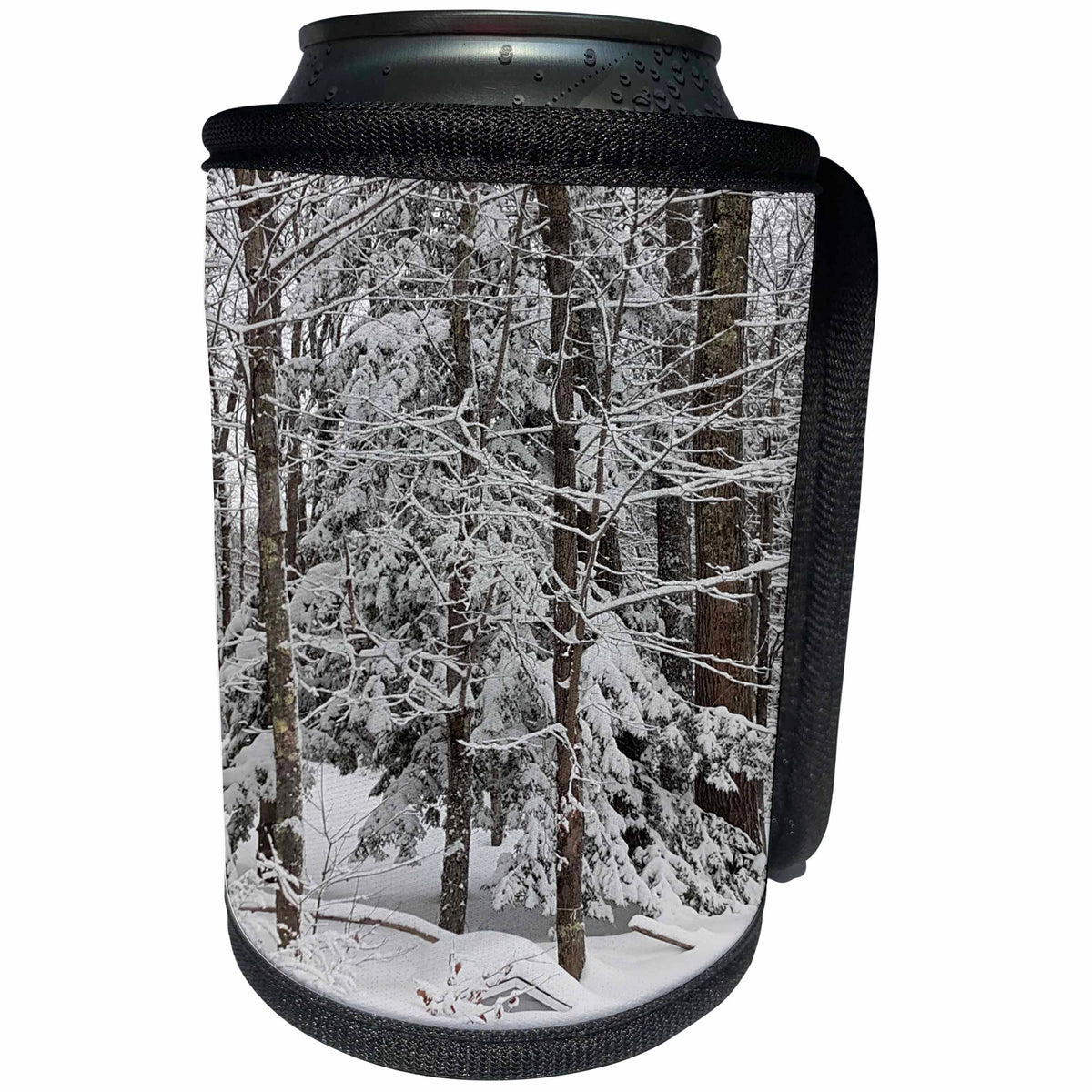 3dRose TDSwhite – Winter Seasonal Nature Photos - Winter Weather Scene - Can Cooler Bottle Wrap (cc_285047)