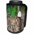 3dRose TDSwhite – Farm and Food - Forest Mushroom Tree Base - Can Cooler Bottle Wrap (cc_285178)
