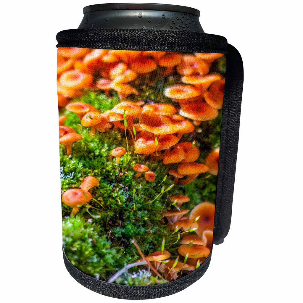 3dRose TDSwhite – Farm and Food - Wild Mushrooms Growing - Can Cooler Bottle Wrap (cc_285180)