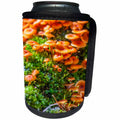 3dRose TDSwhite – Farm and Food - Wild Mushrooms Growing - Can Cooler Bottle Wrap (cc_285180)