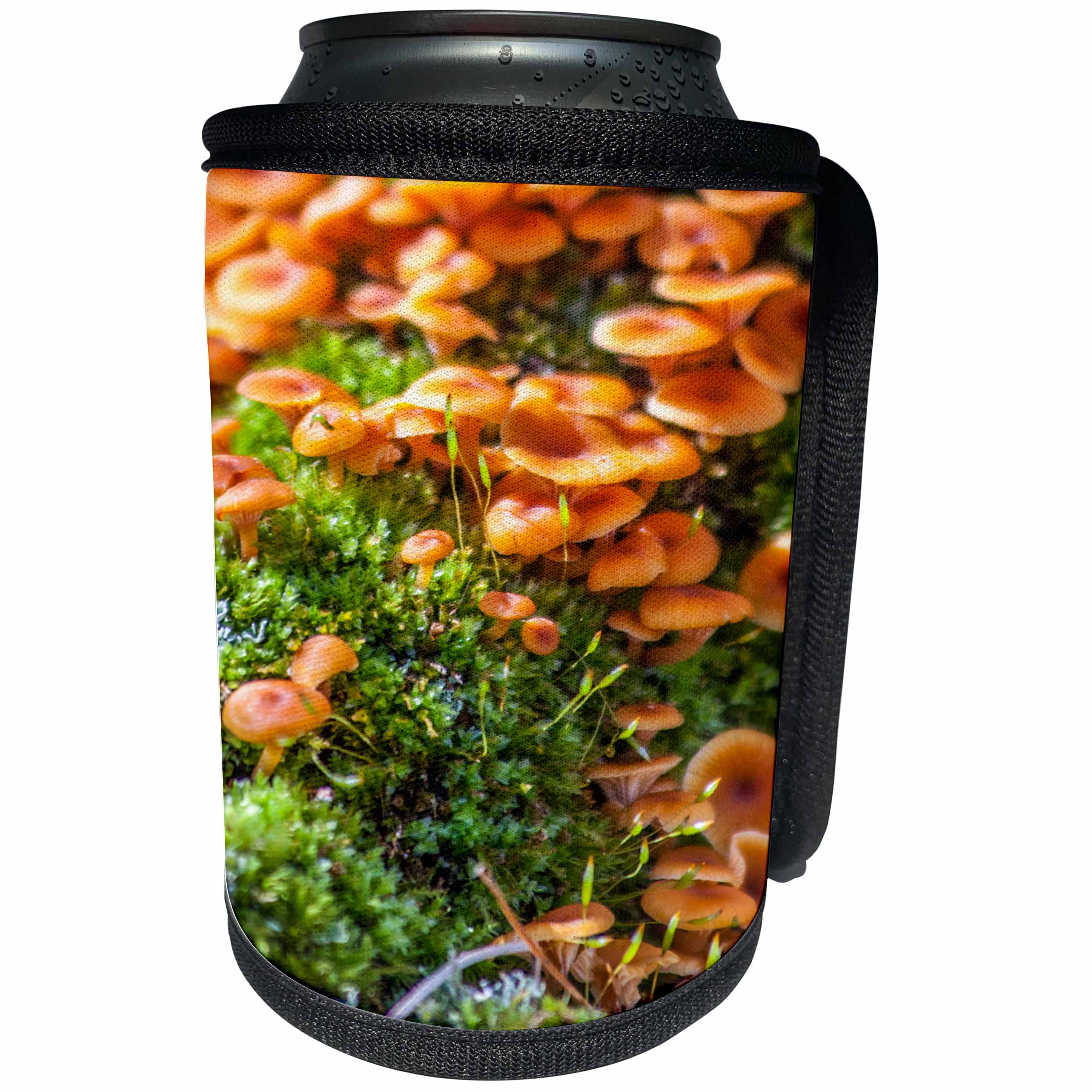 3dRose TDSwhite – Farm and Food - Wild Mushrooms Growing - Can Cooler Bottle Wrap (cc_285180)