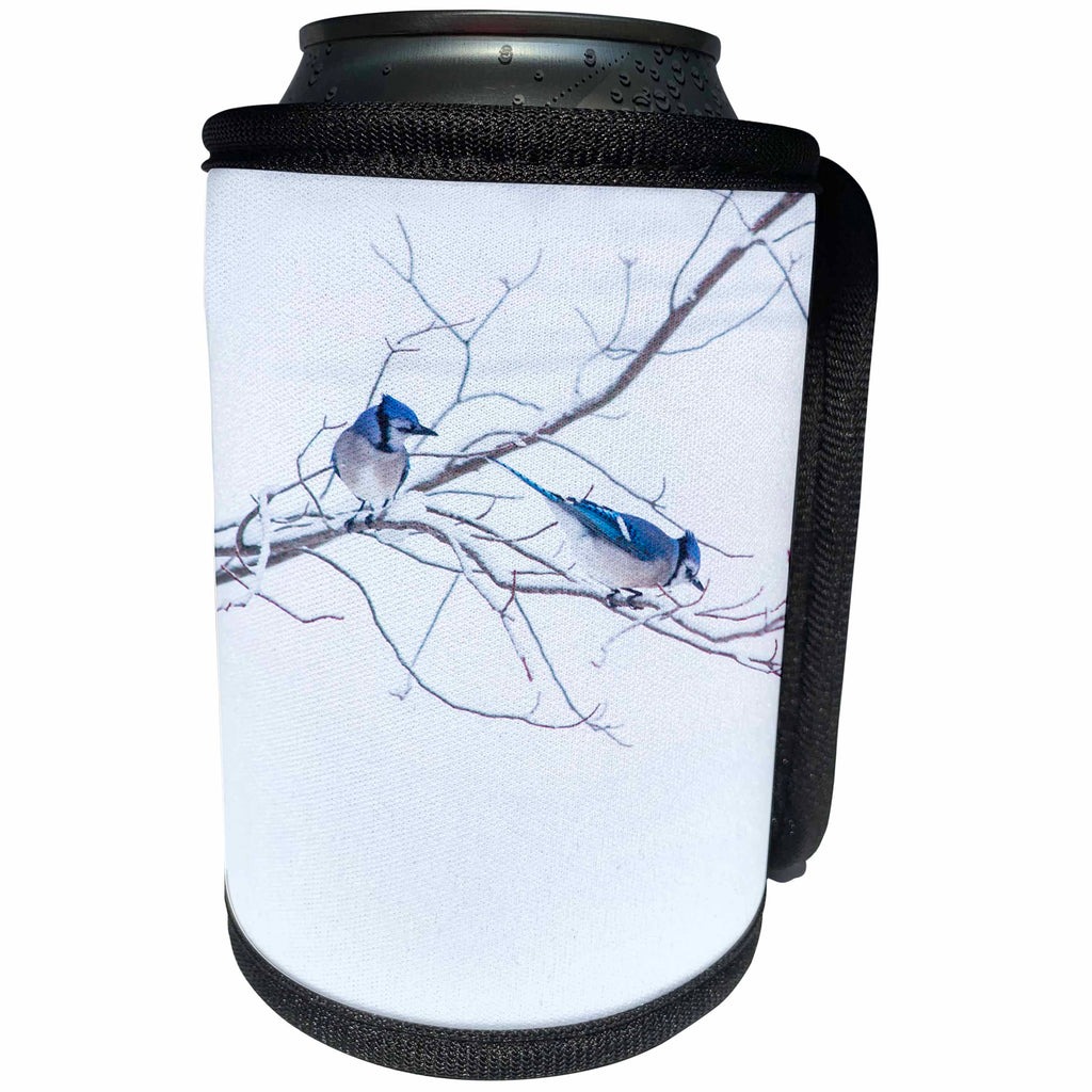 3dRose TDSwhite – Miscellaneous Photography - Blue Jays Bird Watching - Can Cooler Bottle Wrap (cc_285247)