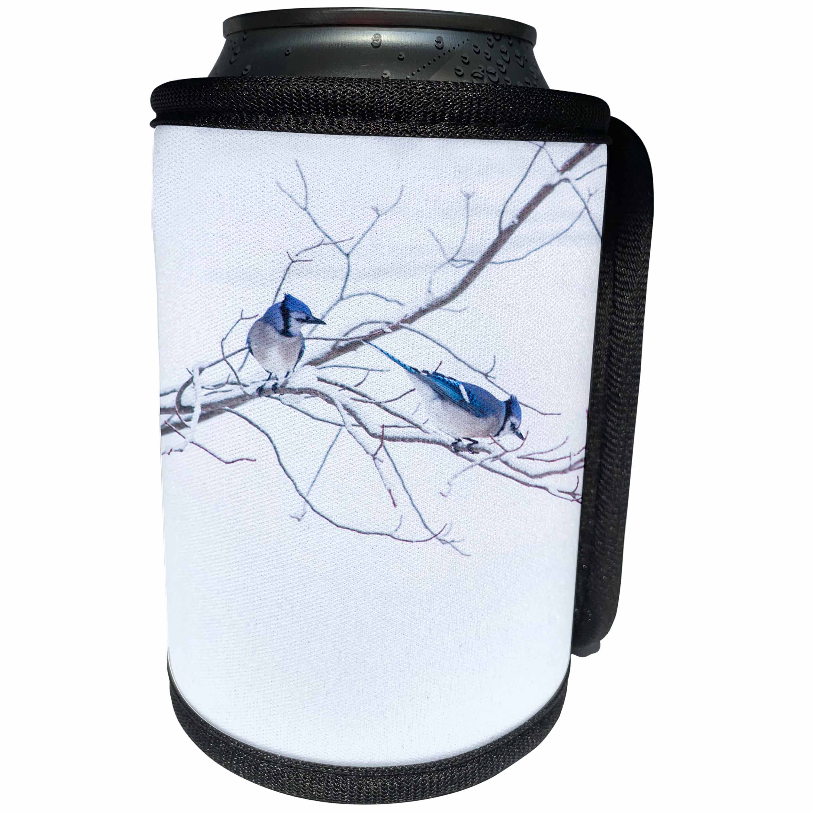 3dRose TDSwhite – Miscellaneous Photography - Blue Jays Bird Watching - Can Cooler Bottle Wrap (cc_285247)