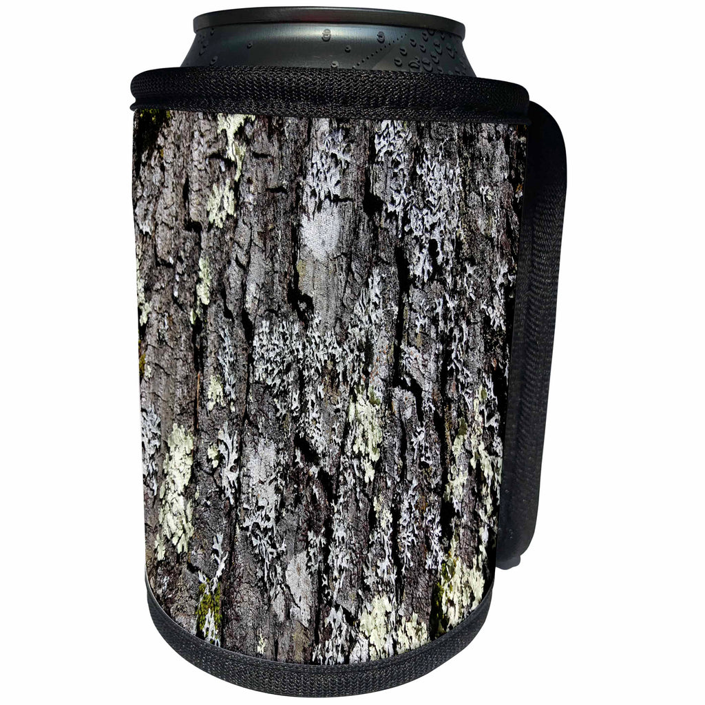 3dRose TDSwhite – Miscellaneous Photography - Oak Tree Sunlight - Can Cooler Bottle Wrap (cc_285336)