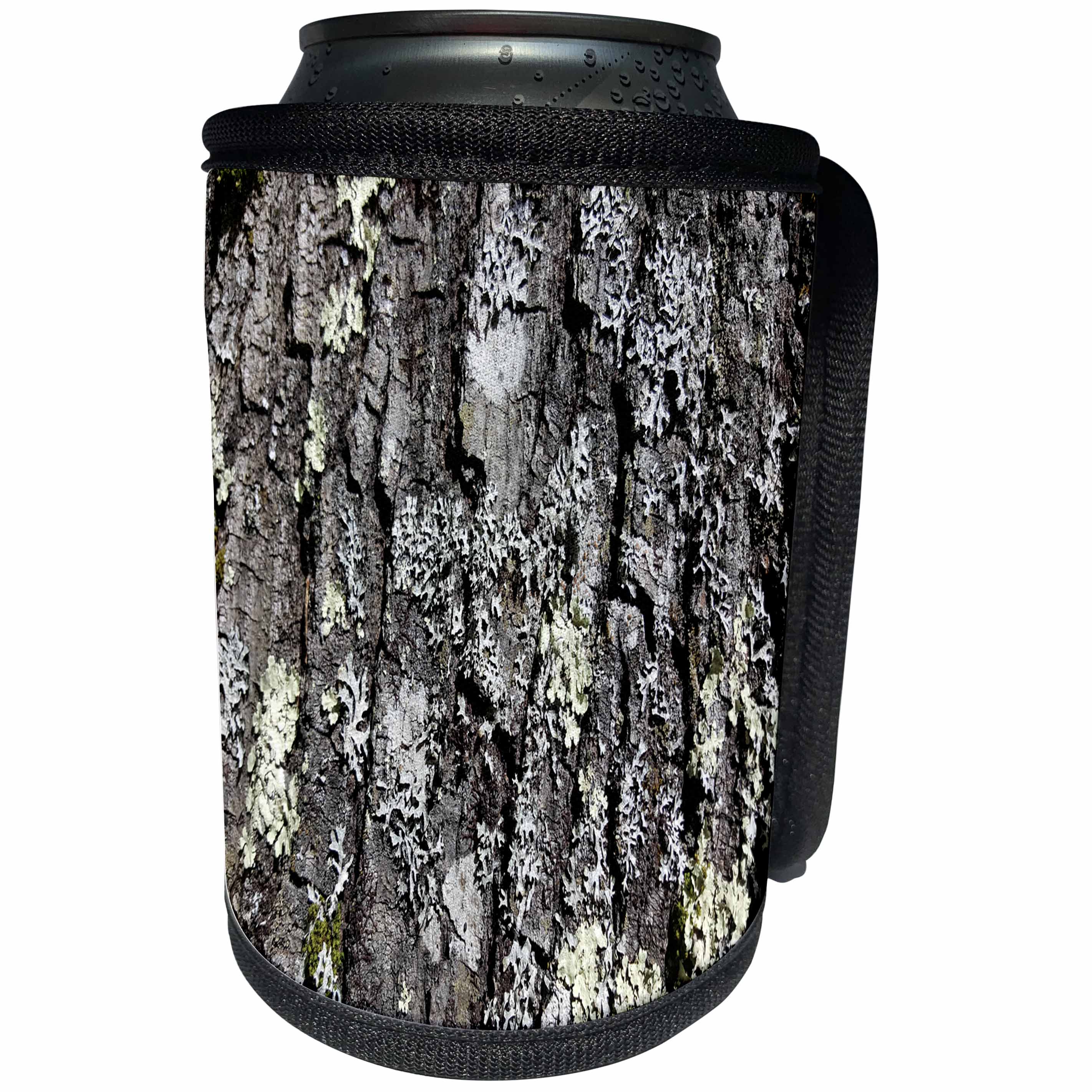 3dRose TDSwhite – Miscellaneous Photography - Oak Tree Sunlight - Can Cooler Bottle Wrap (cc_285336)