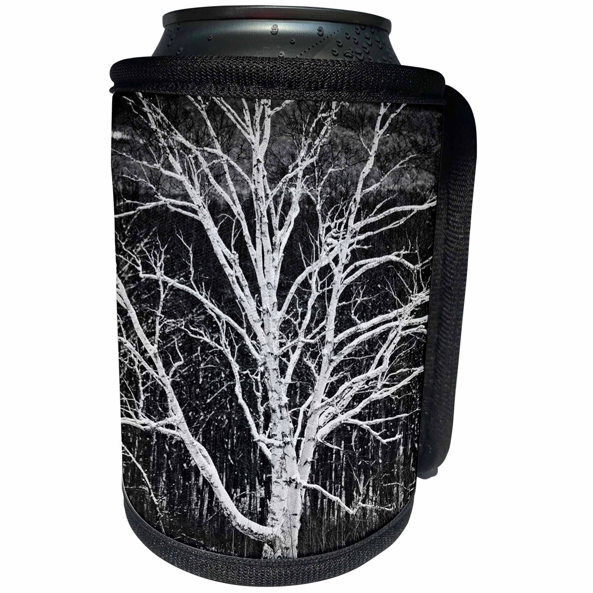 3dRose TDSwhite – Miscellaneous Photography - White Birch Tree - Can Cooler Bottle Wrap (cc_285342)