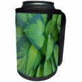 3dRose TDSwhite – Miscellaneous Photography - Pretty Hosta Leaves - Can Cooler Bottle Wrap (cc_285361)