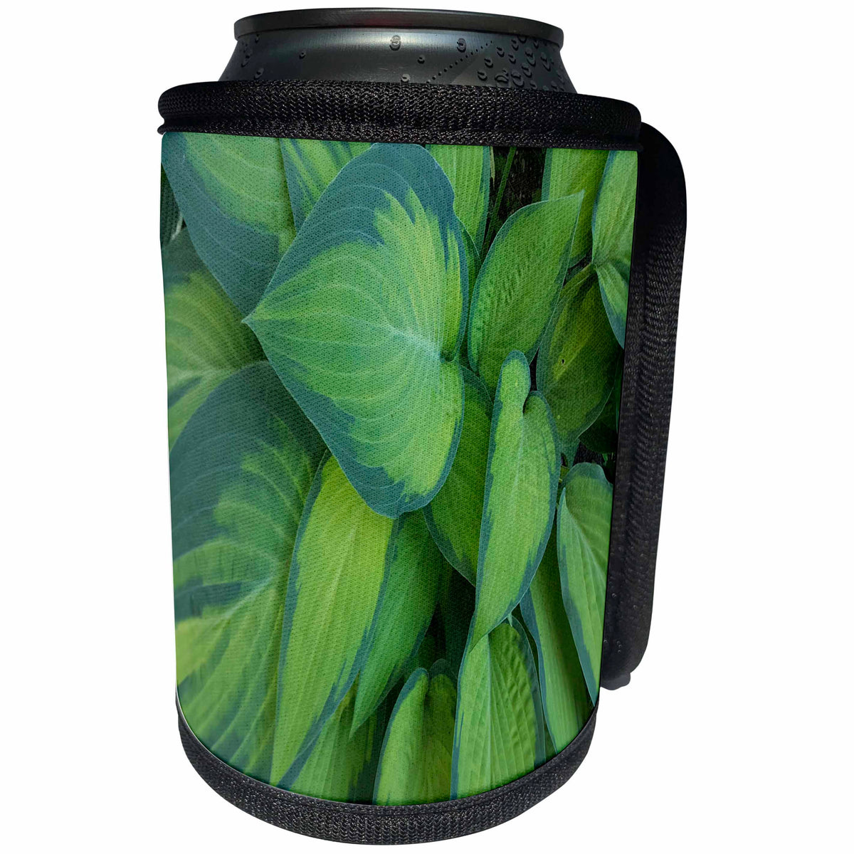 3dRose TDSwhite – Miscellaneous Photography - Pretty Hosta Leaves - Can Cooler Bottle Wrap (cc_285361)