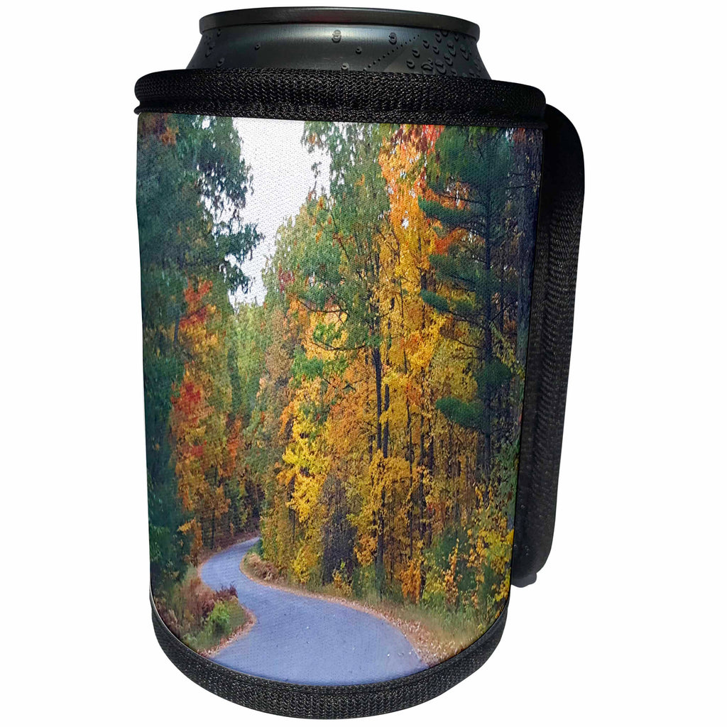 3dRose TDSwhite – Miscellaneous Photography - Winding Country Road - Can Cooler Bottle Wrap (cc_285380)