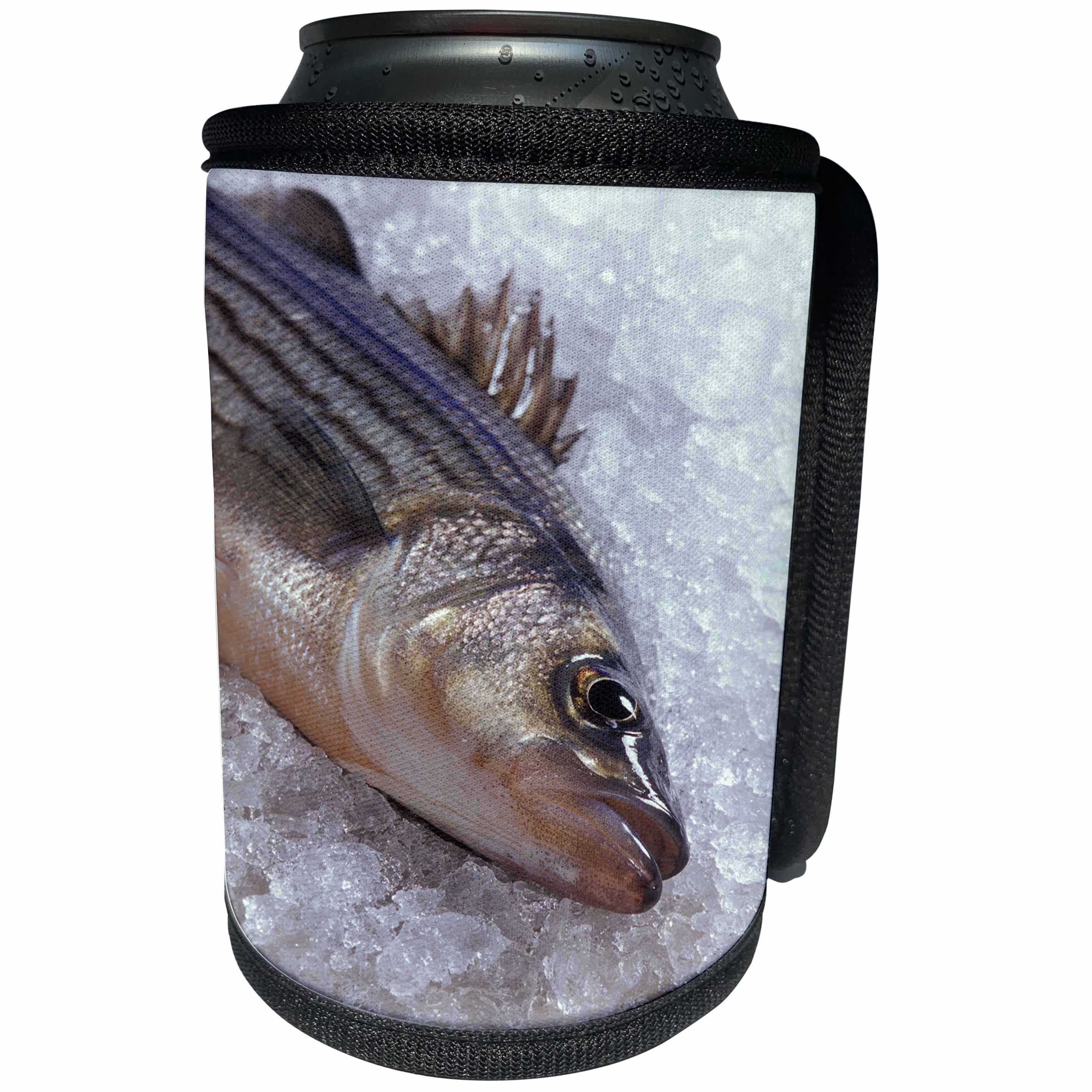 3dRose TDSwhite – Miscellaneous Photography - Fishing Striped Sunshine Bass Fish Fisherman Angler - Can Cooler Bottle Wrap (cc_285394)