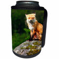 3dRose TDSwhite – Miscellaneous Photography - Red Fox Sitting On Rock - Can Cooler Bottle Wrap (cc_285429)