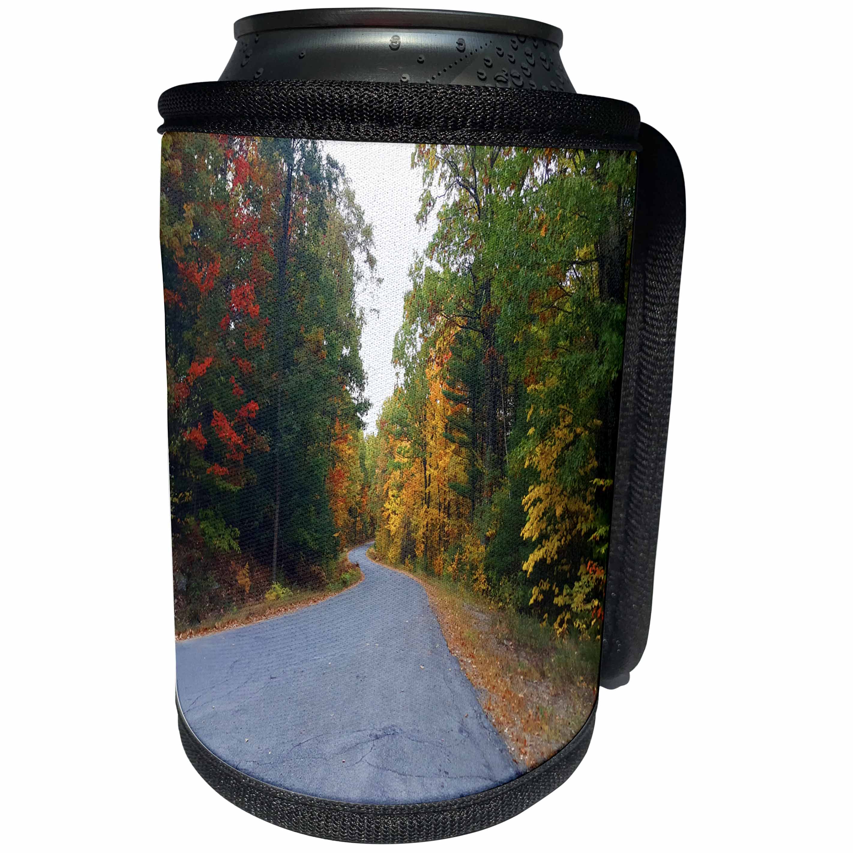 3dRose TDSwhite – Miscellaneous Photography - Winding Country Road Distance - Can Cooler Bottle Wrap (cc_285451)
