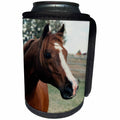 3dRose TDSwhite – Horse Equine Photos - Arabian Horse Pasture - Can Cooler Bottle Wrap (cc_285452)