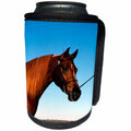3dRose TDSwhite – Horse Equine Photos - Arabian Show Horse Pasture - Can Cooler Bottle Wrap (cc_285453)