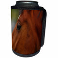 3dRose TDSwhite – Horse Equine Photos - Bay Horse Face Closeup - Can Cooler Bottle Wrap (cc_285456)