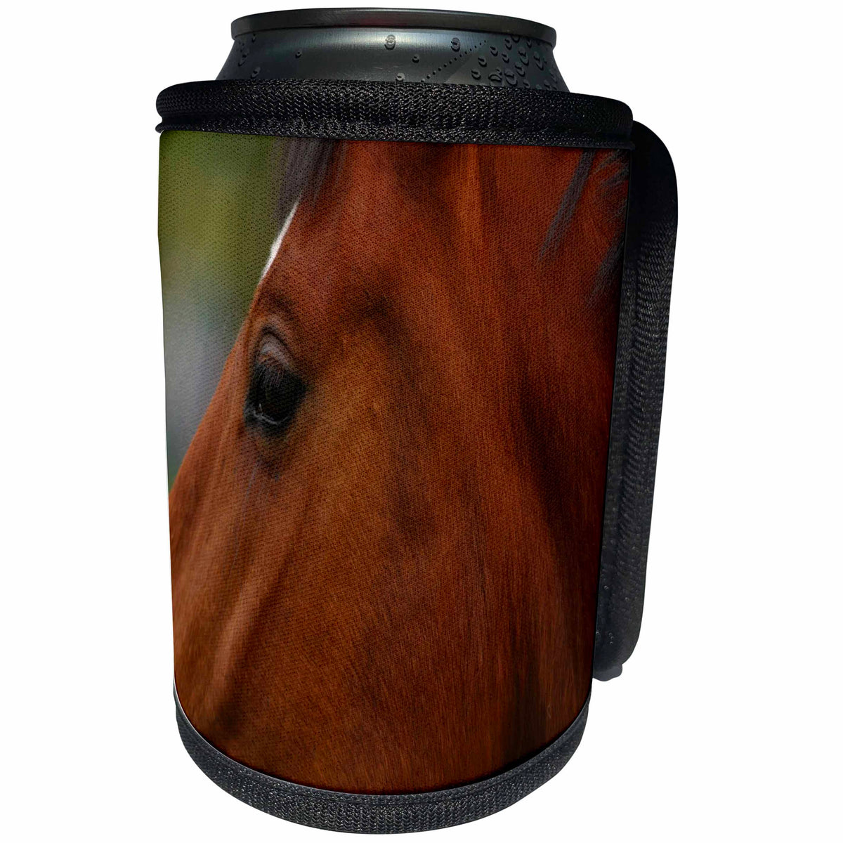3dRose TDSwhite – Horse Equine Photos - Bay Horse Face Closeup - Can Cooler Bottle Wrap (cc_285456)
