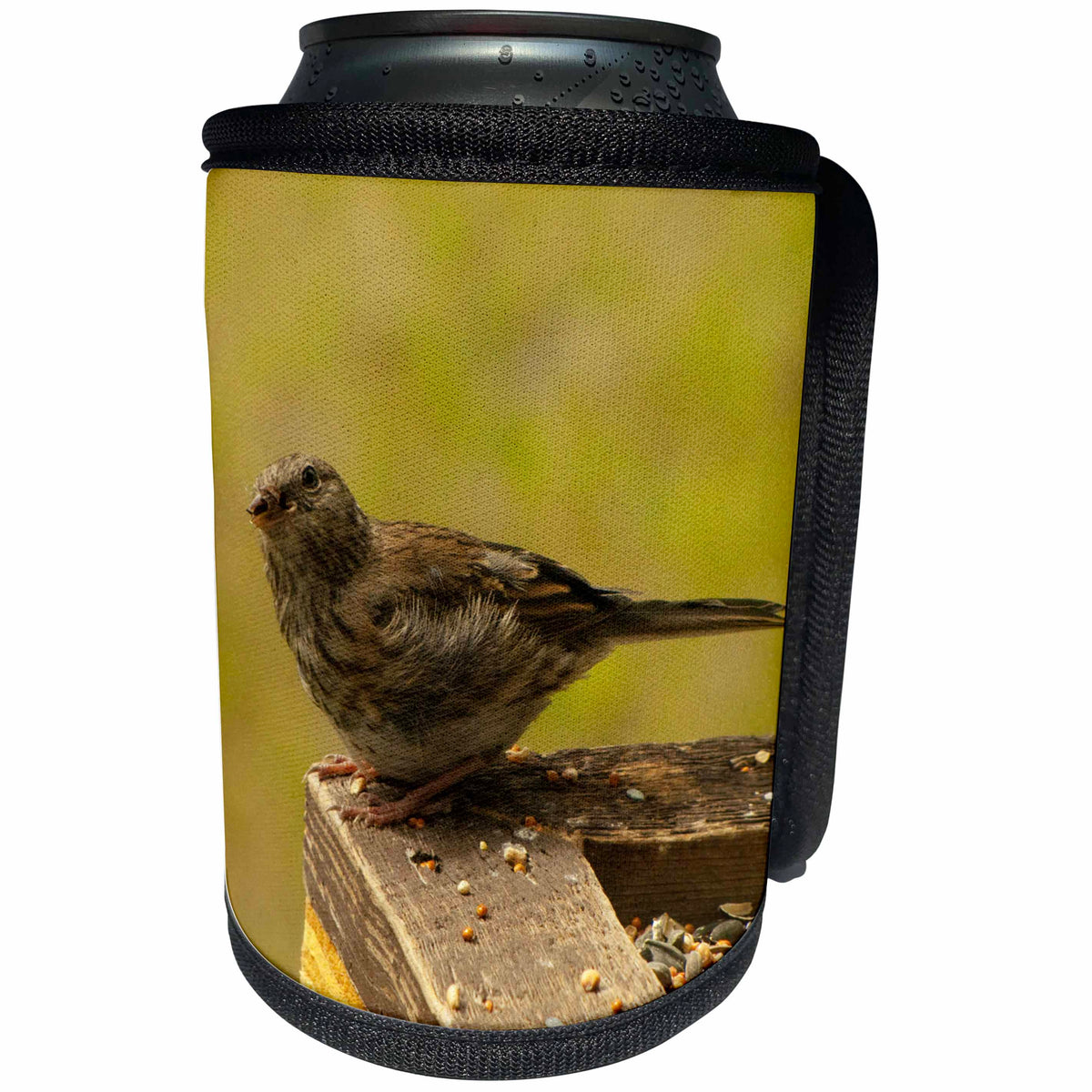 3dRose Krista Funk Creations Birds of the Yukon - Young Junco at the Bird Feeder - Can Cooler Bottle Wrap (cc_28568)