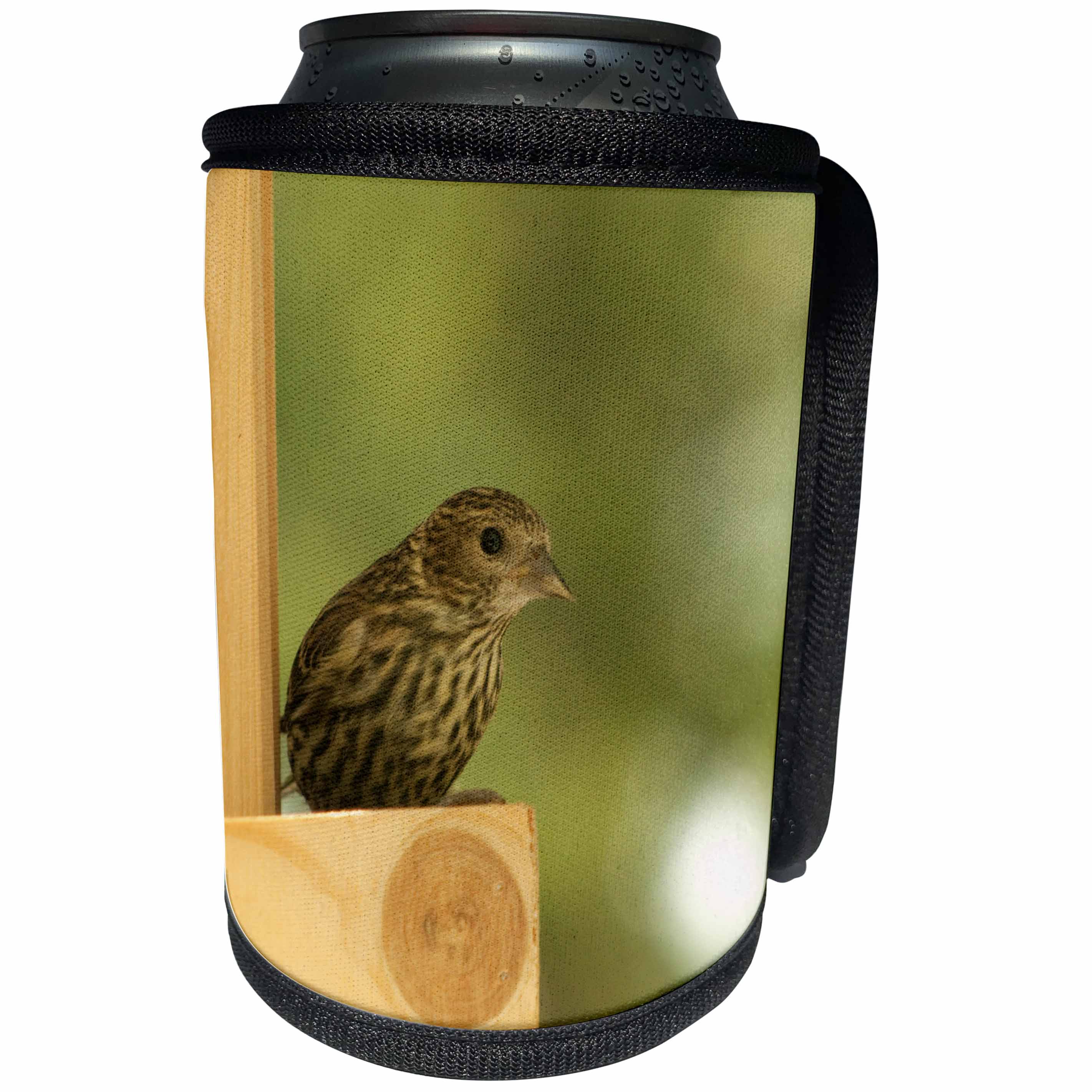 3dRose Krista Funk Creations Birds of the Yukon - Warbler Sits on the Feeder - Can Cooler Bottle Wrap (cc_28569)
