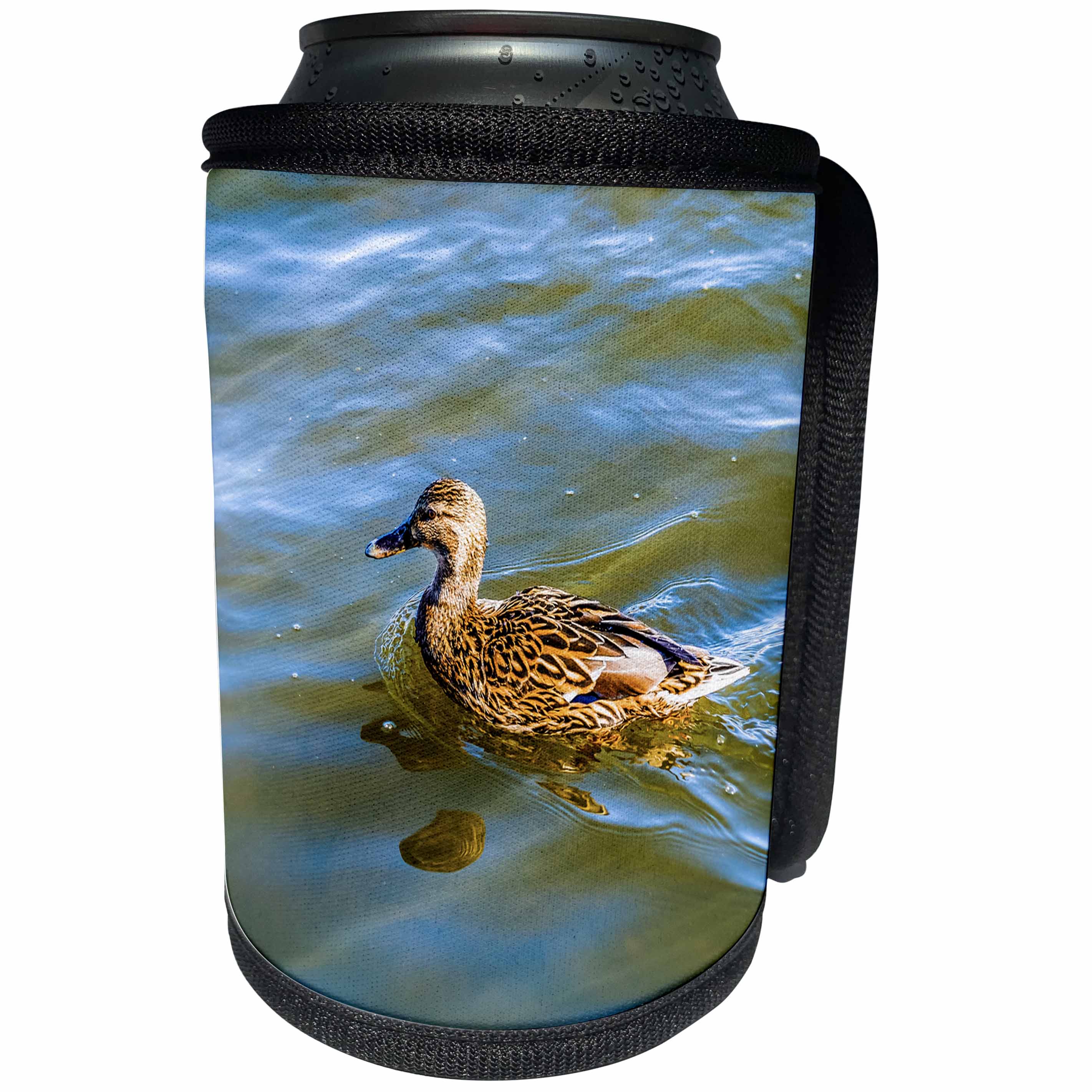 3dRose Alexis Photography - Birds - Female mallard duck swims in a cold water on a sunny spring day - Can Cooler Bottle Wrap (cc_285814)